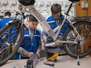 Bici Elettrica_Progetto di mobilità sostenibile per rilanciare le bici elettriche 